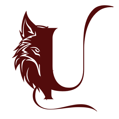 Logo of Usman Irshad